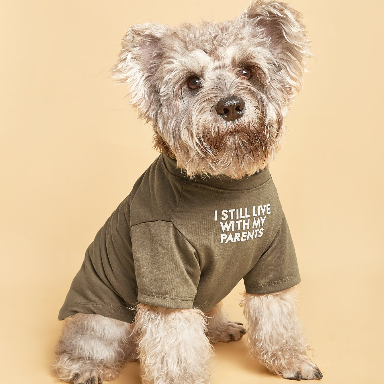 Adorable Brown Words Pattern Pet Tee - Perfect Pet Apparel for
